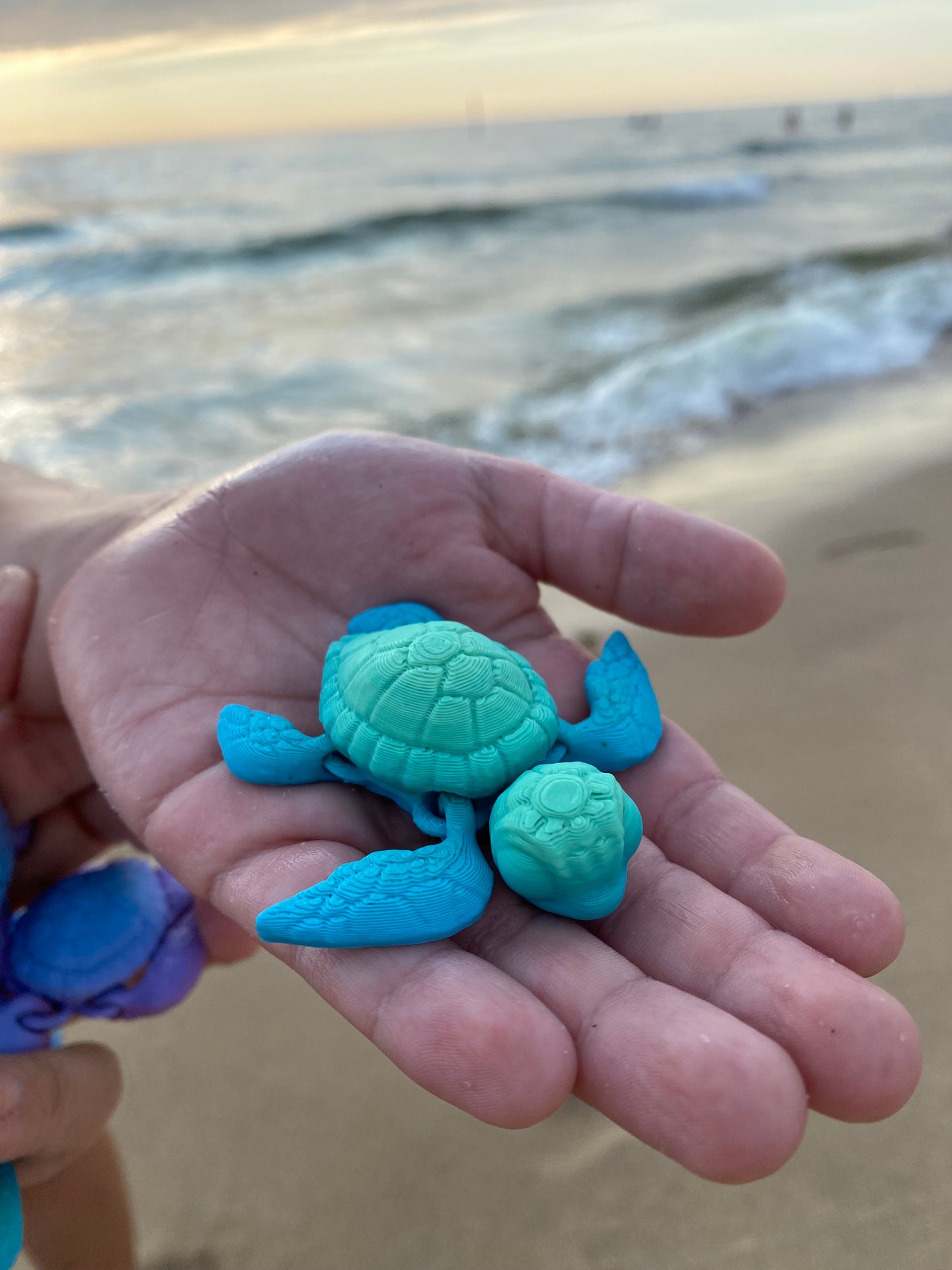 Baby Sea Turtle Prepositional Phrase Activity