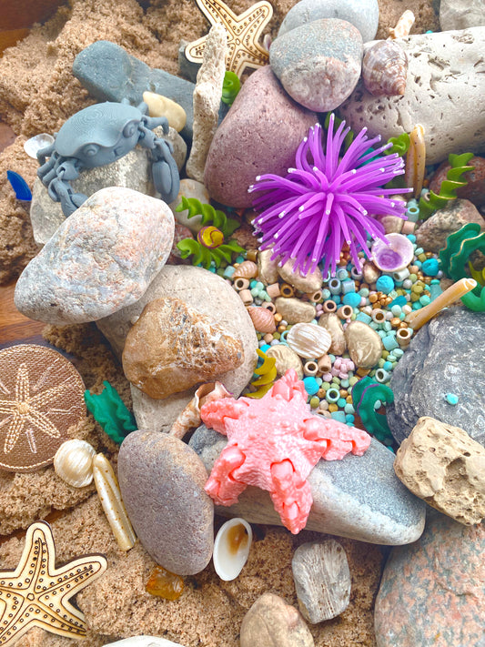 Tide Pool Ponder+Play Mix