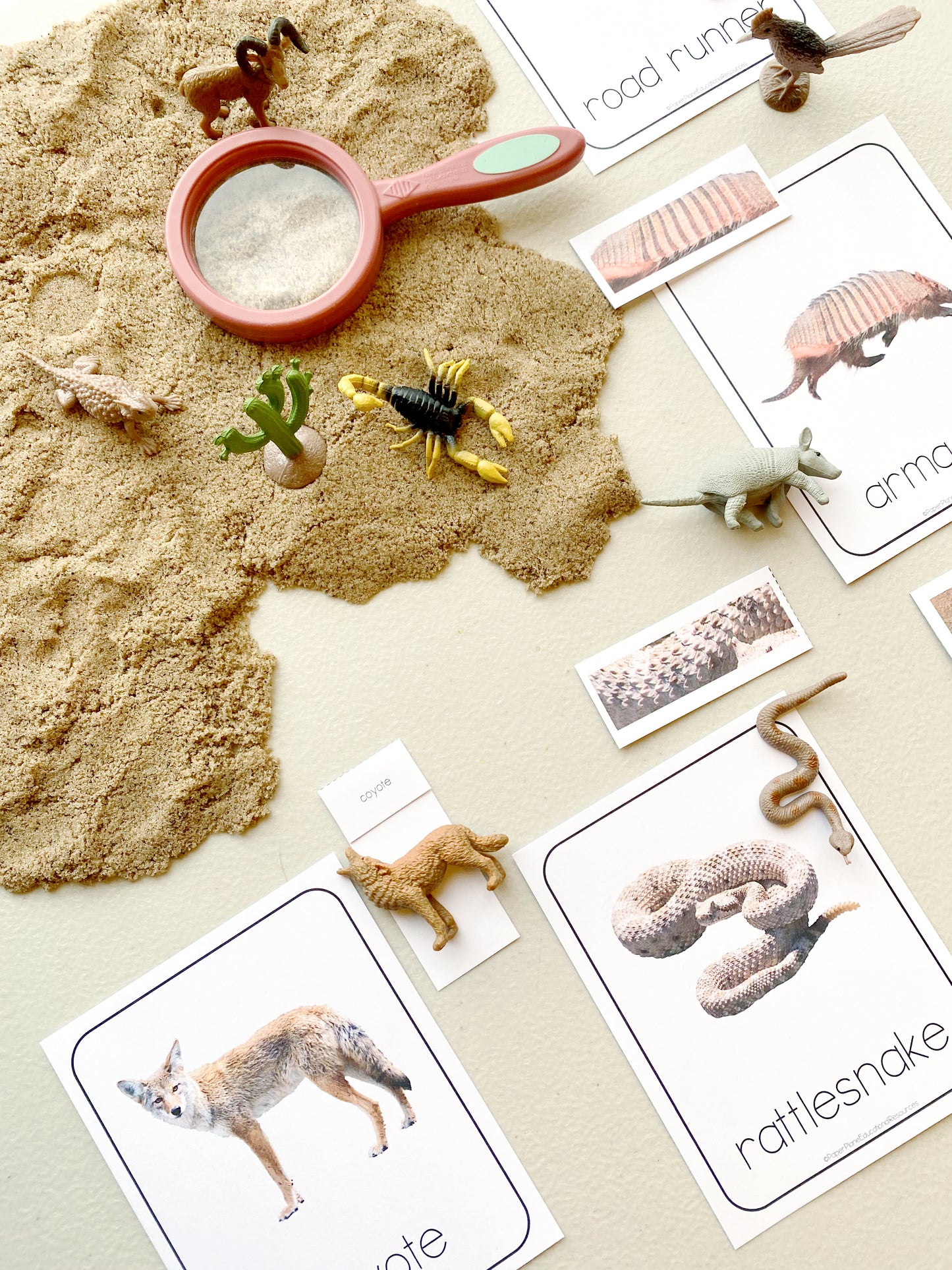 Desert Animal Mini Bundle