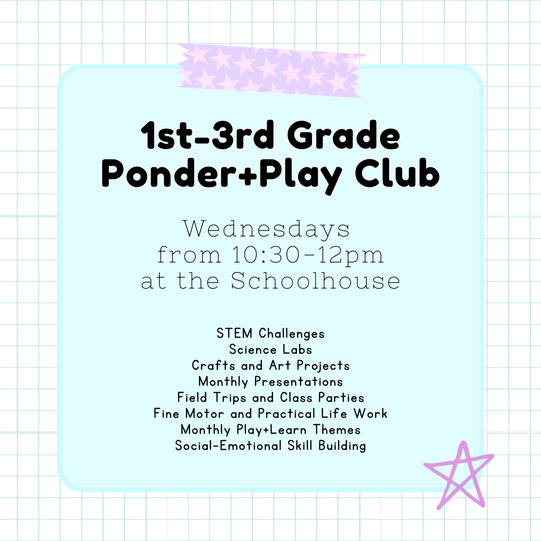 1st-3rd Grade Level Ponder and Play Club