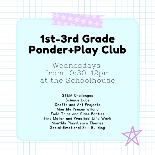 1st-3rd Grade Level Ponder and Play Club