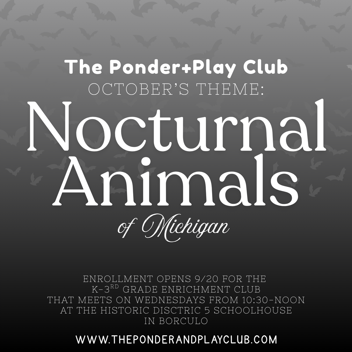 K-3rd Grade Level Ponder and Play Club