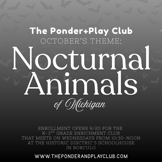 K-3rd Grade Level Ponder and Play Club